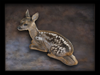 bambi